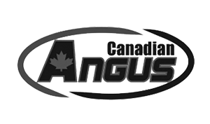 Canadian Angus Association