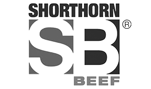 Shorthorn Beef